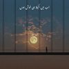 nabeelchaudhry02