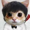 minh1221221