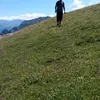 hcmauri