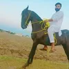 chkhawarchohan