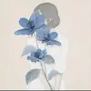 shood072