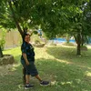 merrybaho
