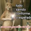 tatu_..bolinha