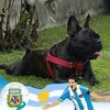 pachuprei