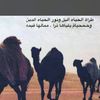 {فيصل المغيري}