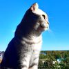 littlefriend06