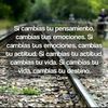 amadaruiz5
