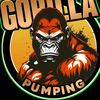 el_gorilo_concretepump