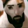 didvdisbdhdhd