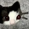 frutosstrawbrerryenjoyer