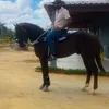 dudas45