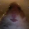 xxx_fuxyoubetch123