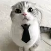 ravach_drovach
