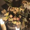 uxil_1234