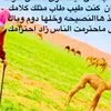 user515261555