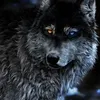 sergeystrokov1