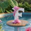 fareefaree09