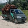 basri_0606