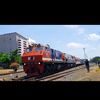 vero09887