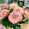 tennyrose98