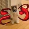 0_0spikepro0_0656742
