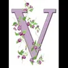 ivonetesantos8165