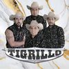 Grupo Tigrillo