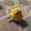 chy_294