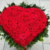 oum1amira