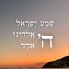 nehoray_shunem8