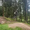 tobi_capra