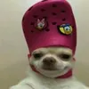 esutarossa_