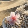 hana_ayman556