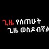 elsbet4