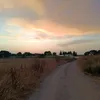 menjacaps