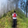 dekyanbaru