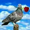 ajzzfkdiiuyw