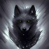 zandervaughn0