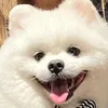 user094206405