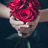 user424730126