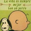 camilosolter
