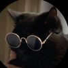 m.r__cat