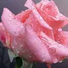 eduardoalexander04