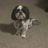 staceyfarley1