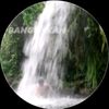 andiputrapalm3