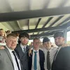 emmetmaguire