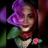 eci_rose_83