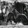 lbdh_1