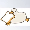 funny_duck008