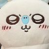 시연하다